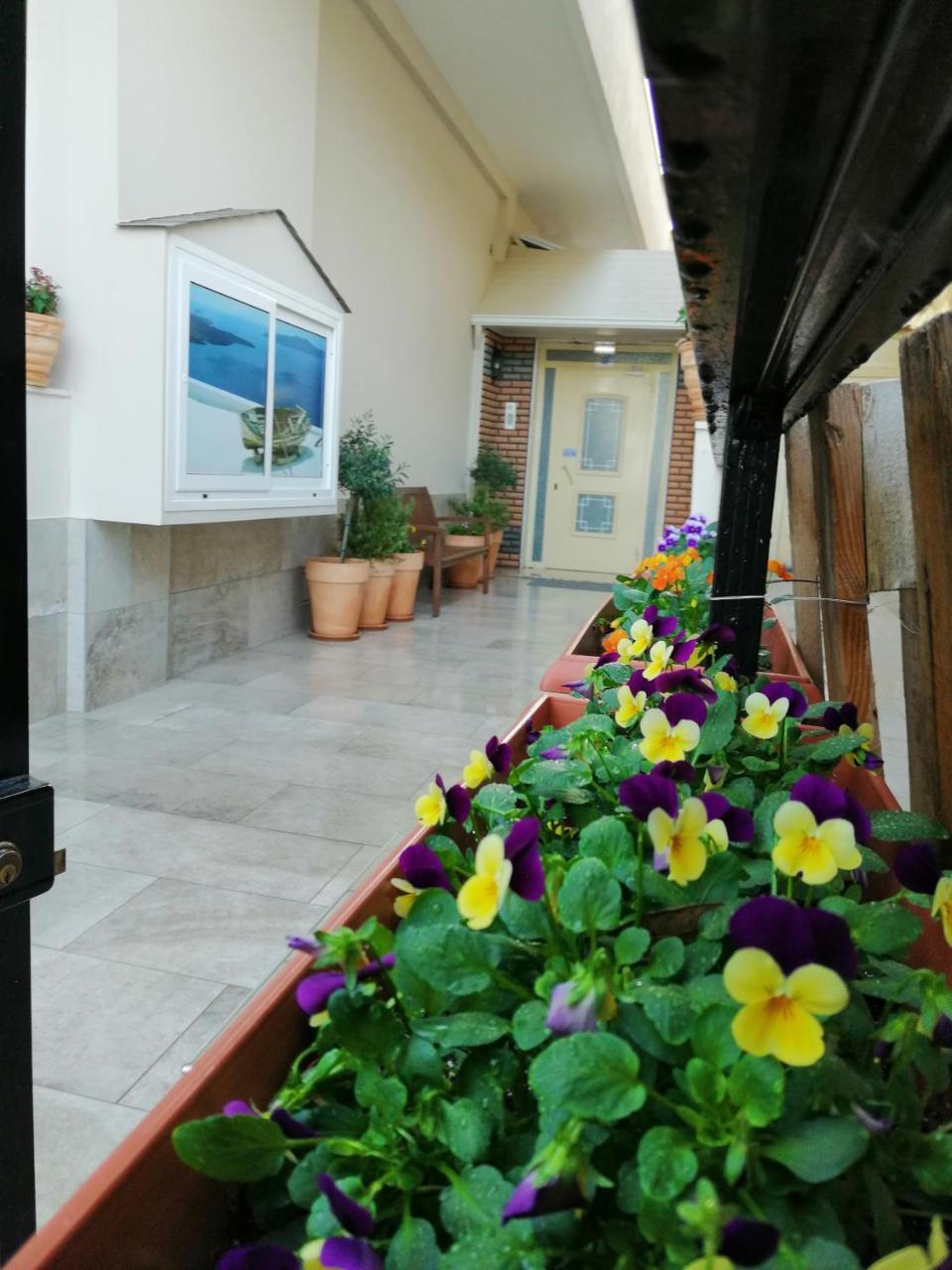 Olympiakí Aktí Giorgos Apartments Sea View מראה חיצוני תמונה