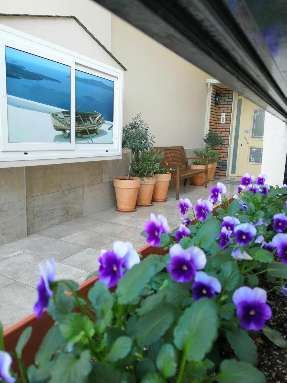 Olympiakí Aktí Giorgos Apartments Sea View מראה חיצוני תמונה