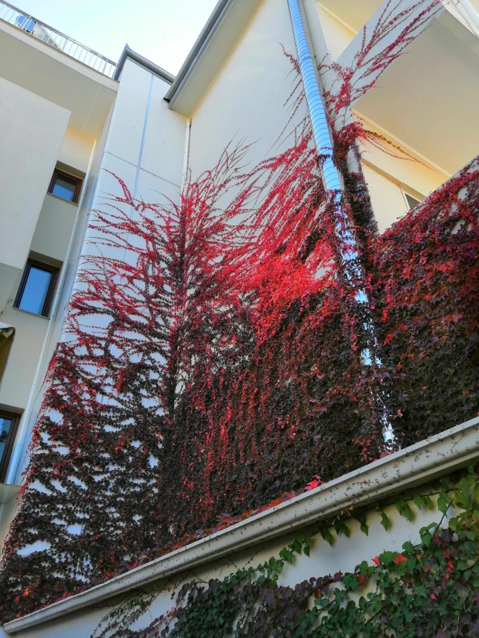 Olympiakí Aktí Giorgos Apartments Sea View מראה חיצוני תמונה